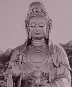 Quan Yin Quan Yin
